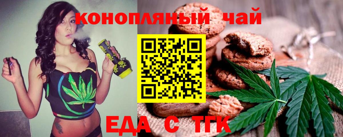 ГАШ Гатчина