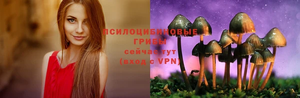 спиды Балабаново