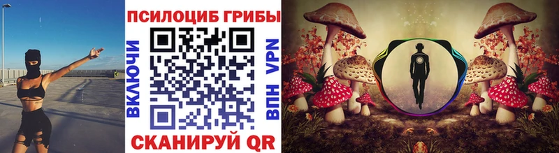 наркошоп  Гатчина  Псилоцибиновые грибы ЛСД 