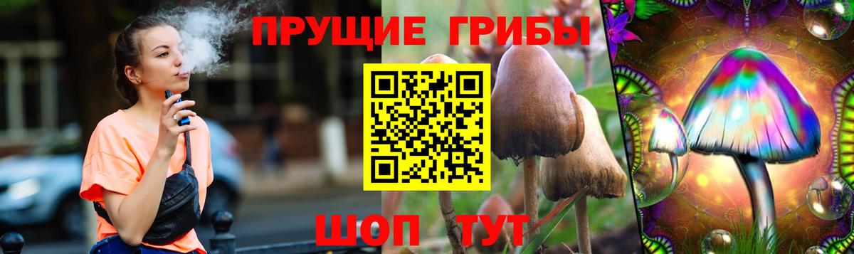 Гатчина  Галлюциногенные грибы прущие грибы  Вход с VPN 