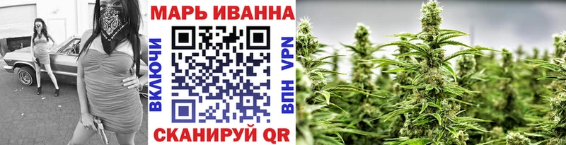 Конопля сатива  Гатчина 